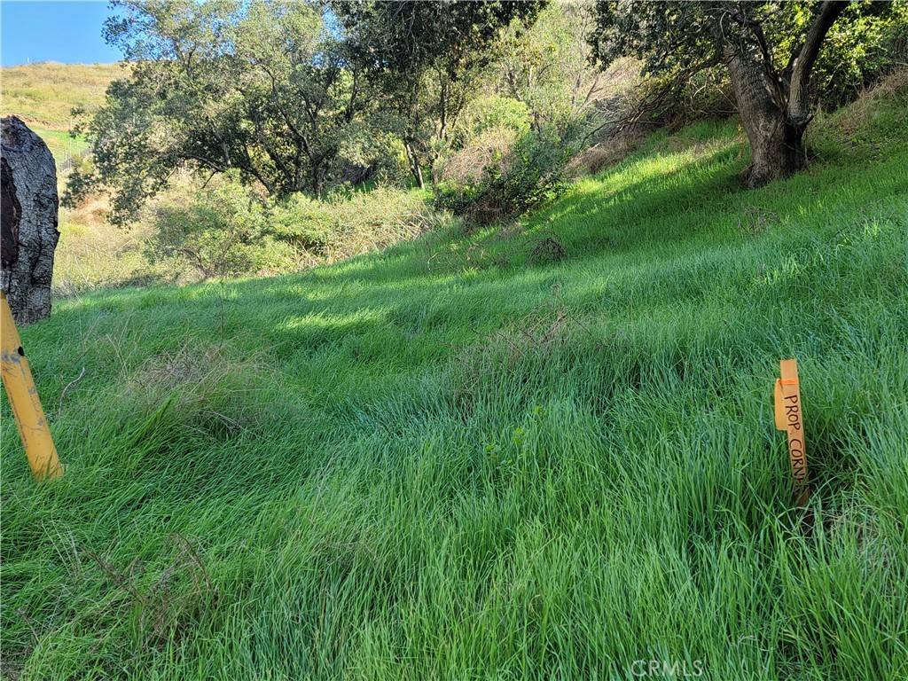 Sylmar, CA 91342,0 North TRL