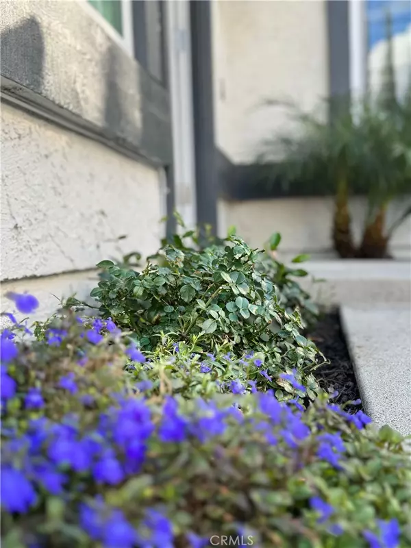 Valencia, CA 91355,25809 Olivas Park RD