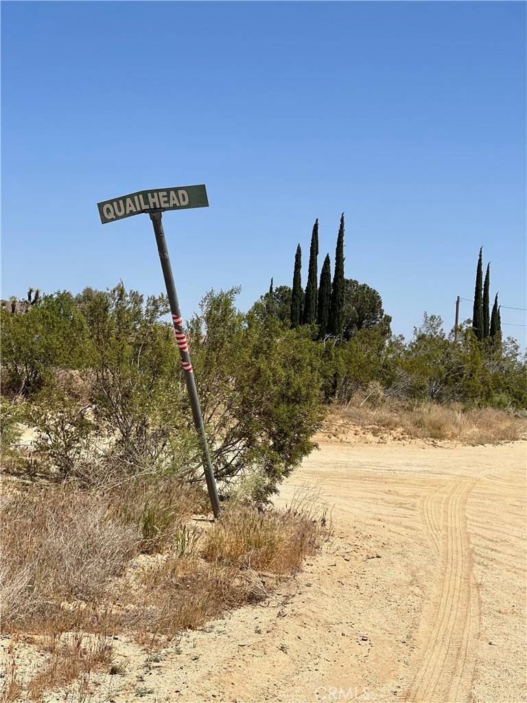 Mojave, CA 93501,0 Backus Rd./Quailhead Rd.