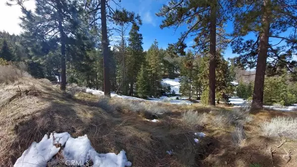 Alpine Forest, CA 93561,16701 Matterhorn
