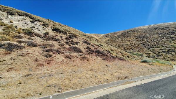 Lake Elizabeth, CA 93532,0 Littlehorn Rd