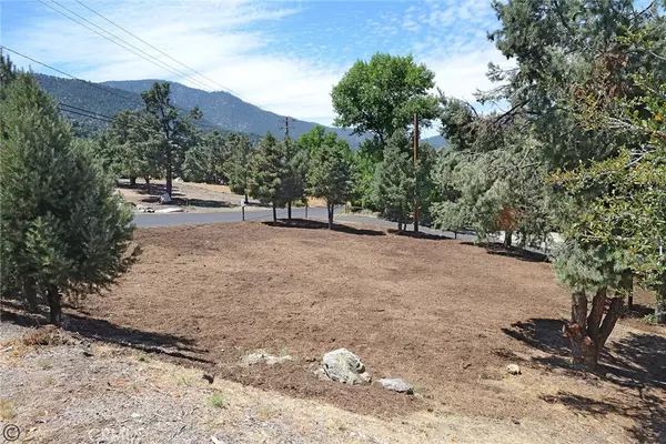 Pine Mountain Club, CA 93222,2029 St Bernard DR