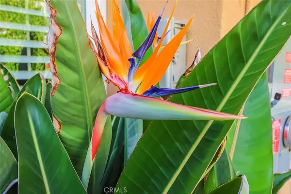 Westlake Village, CA 91361,1079 Twinfoot CT