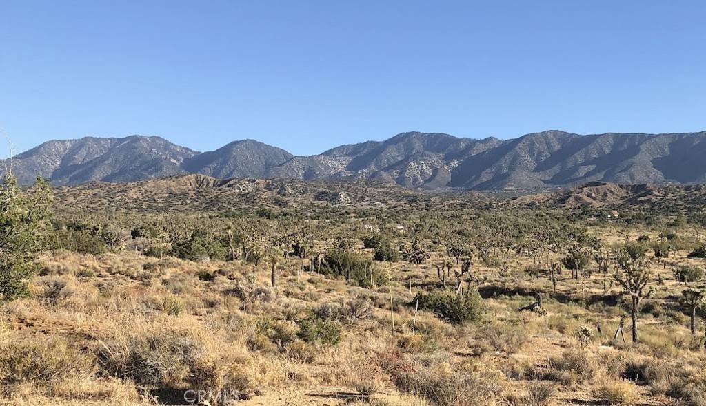 Pearblossom, CA 93553,11640 Fort Tejon RD