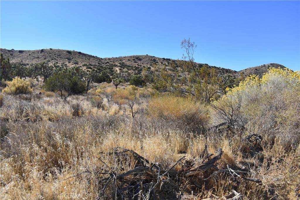 Palmdale, CA 93550,8100 Vac/Vic 81st Ste/Webber Ranch Rd