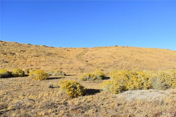 Fairmont, CA 93536,14500 W San Francisquito