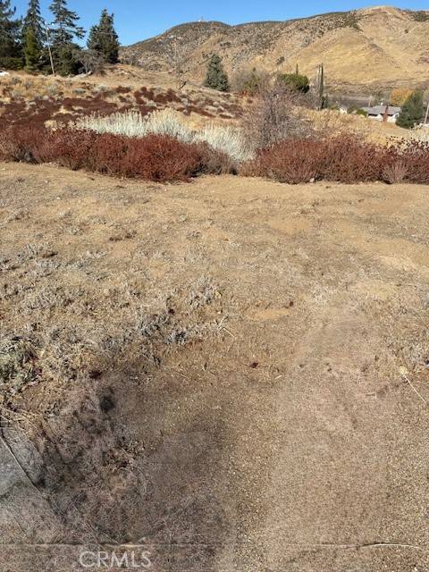 Lancaster, CA 93536,0 MOHICAN DR VIC LESINA DR