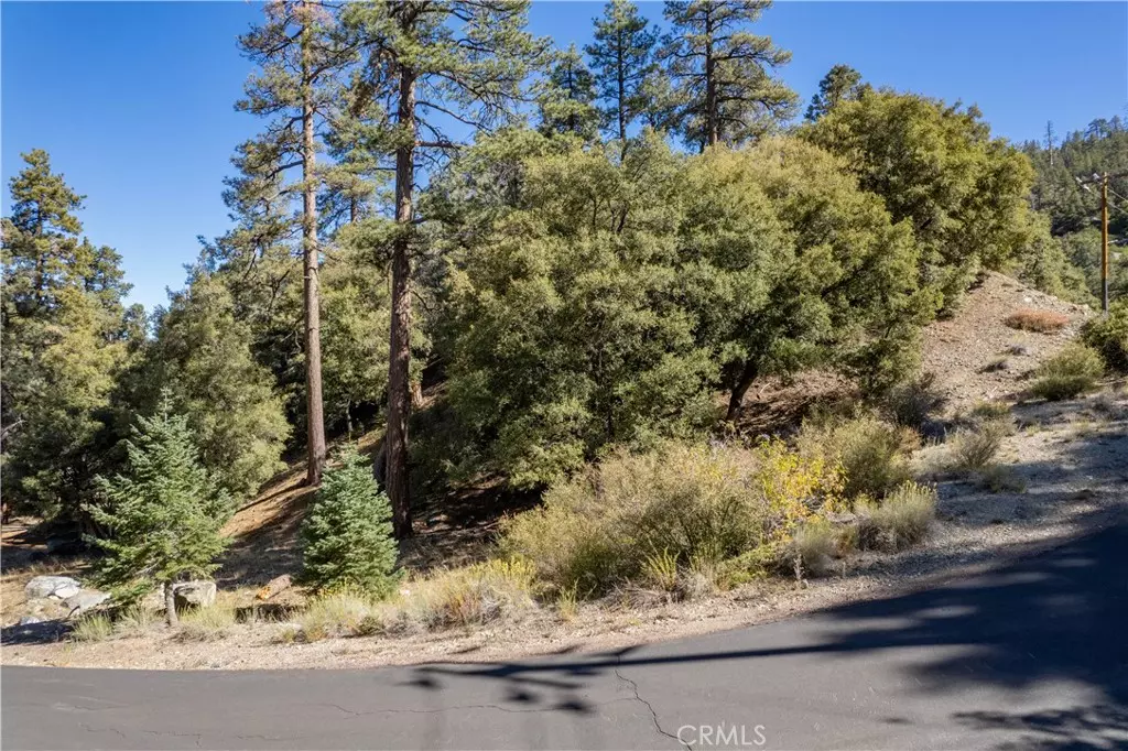 Pine Mountain Club, CA 93222,1216 Banff DR