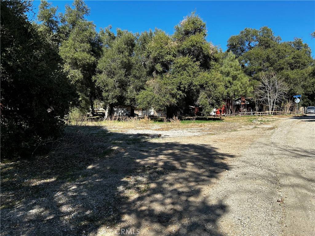 Green Valley, CA 91390,0 Calle El Clavelito/3227016011