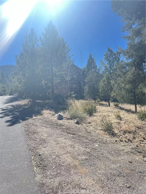 Pine Mountain Club, CA 93225,1805 Woodland DR