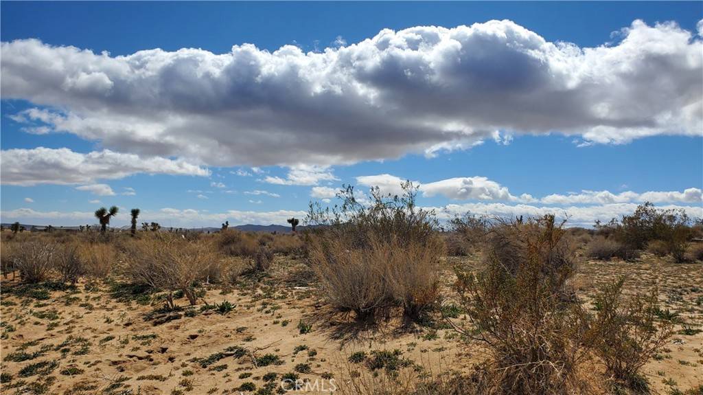 Mojave, CA 93501,0 Reed Ave