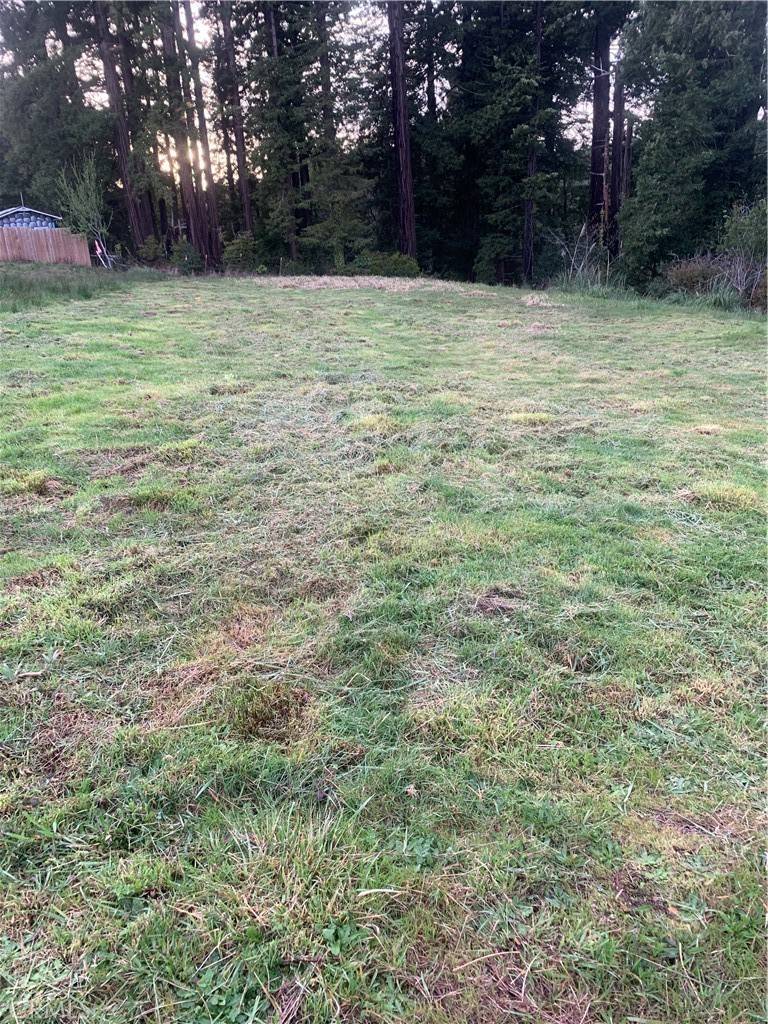 Eureka, CA 95503,0 Brogan