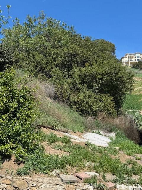 Cypress Park, CA 90065,1 Maceo ST