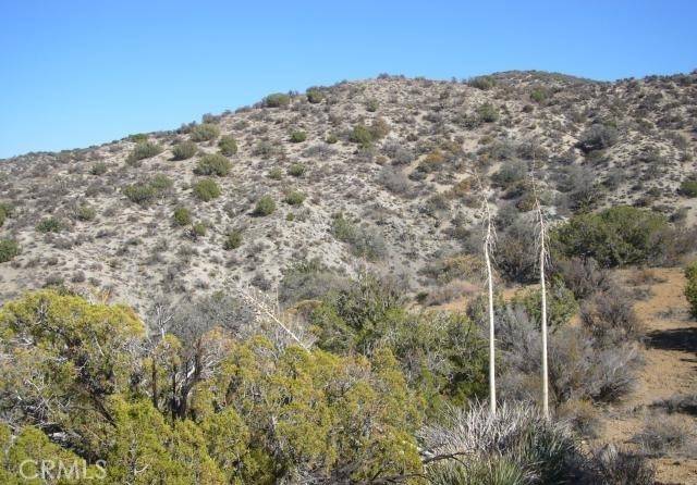 Juniper Hills, CA 93543,1 E Avenue Z2/118 Ste
