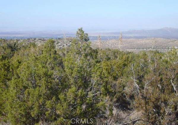 Juniper Hills, CA 93543,1 E Avenue Z2/118 Ste