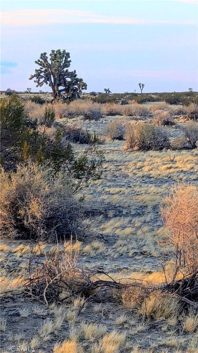 Palmdale, CA 93591,230 E Avenue N-12