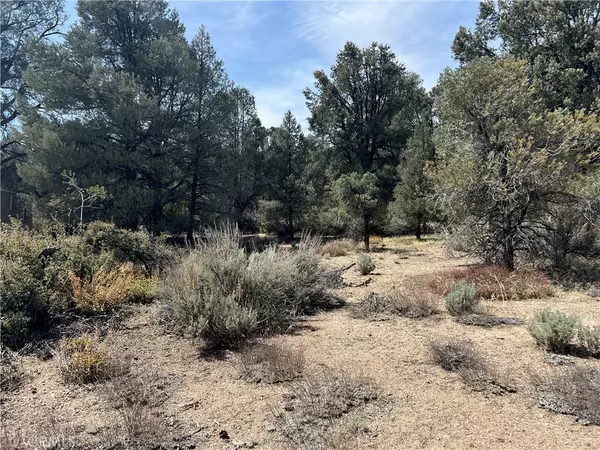 Frazier Park, CA 93225,0 East Windy Trail