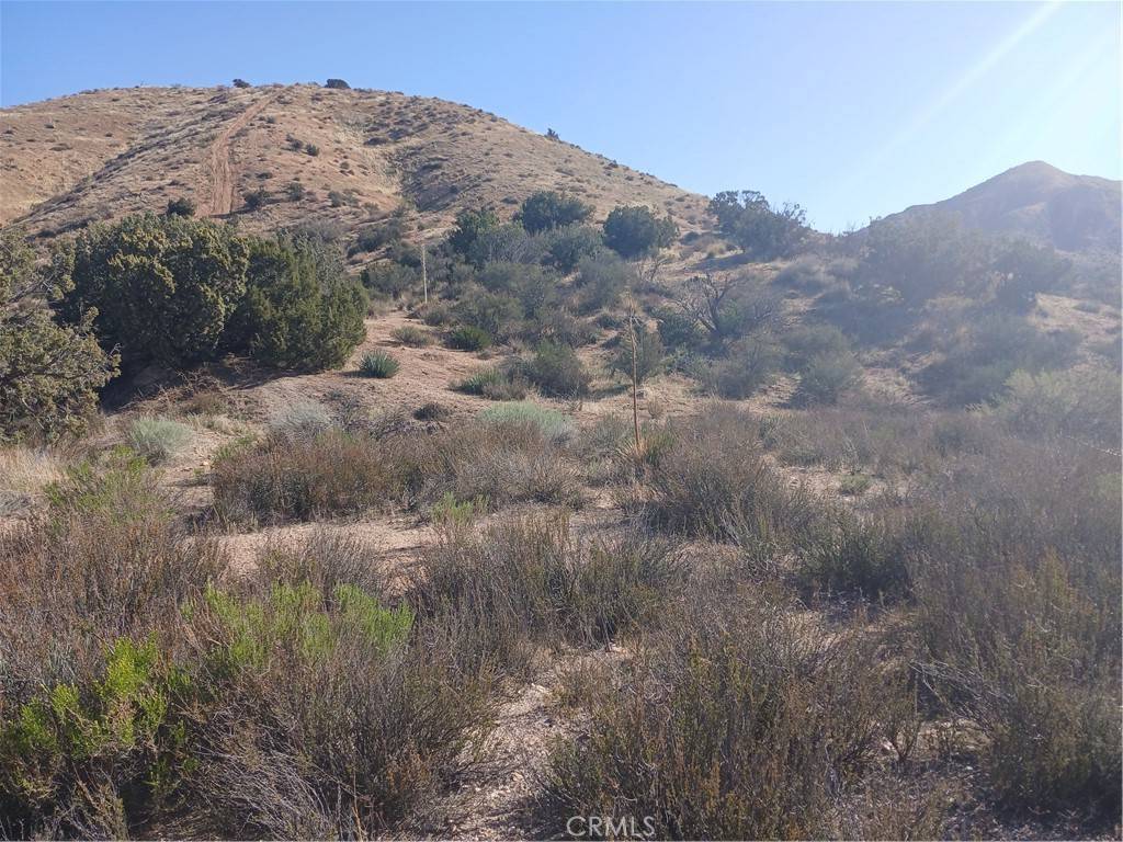 Acton, CA 93510,0 West Avenue Y - 8