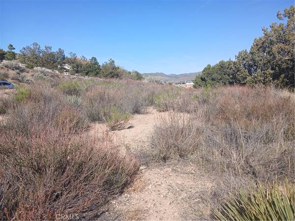 Acton, CA 93510,0 West Avenue Y - 8