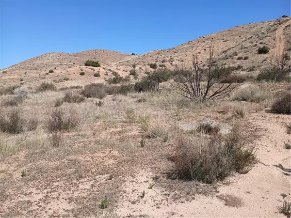 Acton, CA 93510,0 West Avenue Y - 8