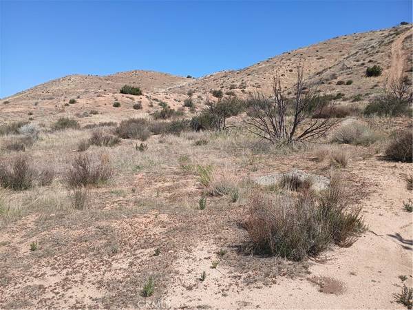 Acton, CA 93510,0 West Avenue Y - 8