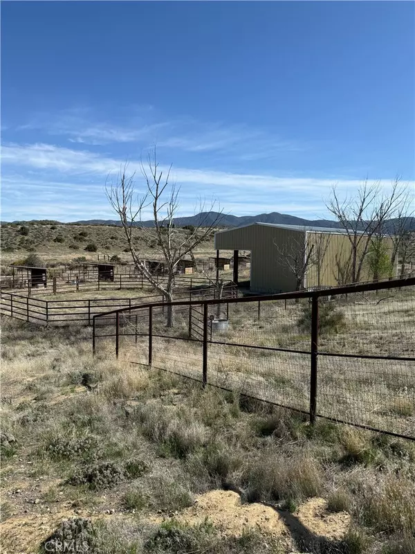 125 Castro Canyon RD, Cuyama, CA 93254