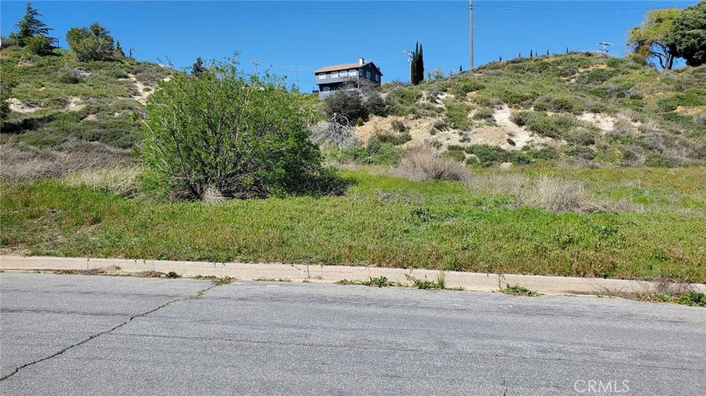 0 Kiptree Drive, Lake Elizabeth, CA 93532