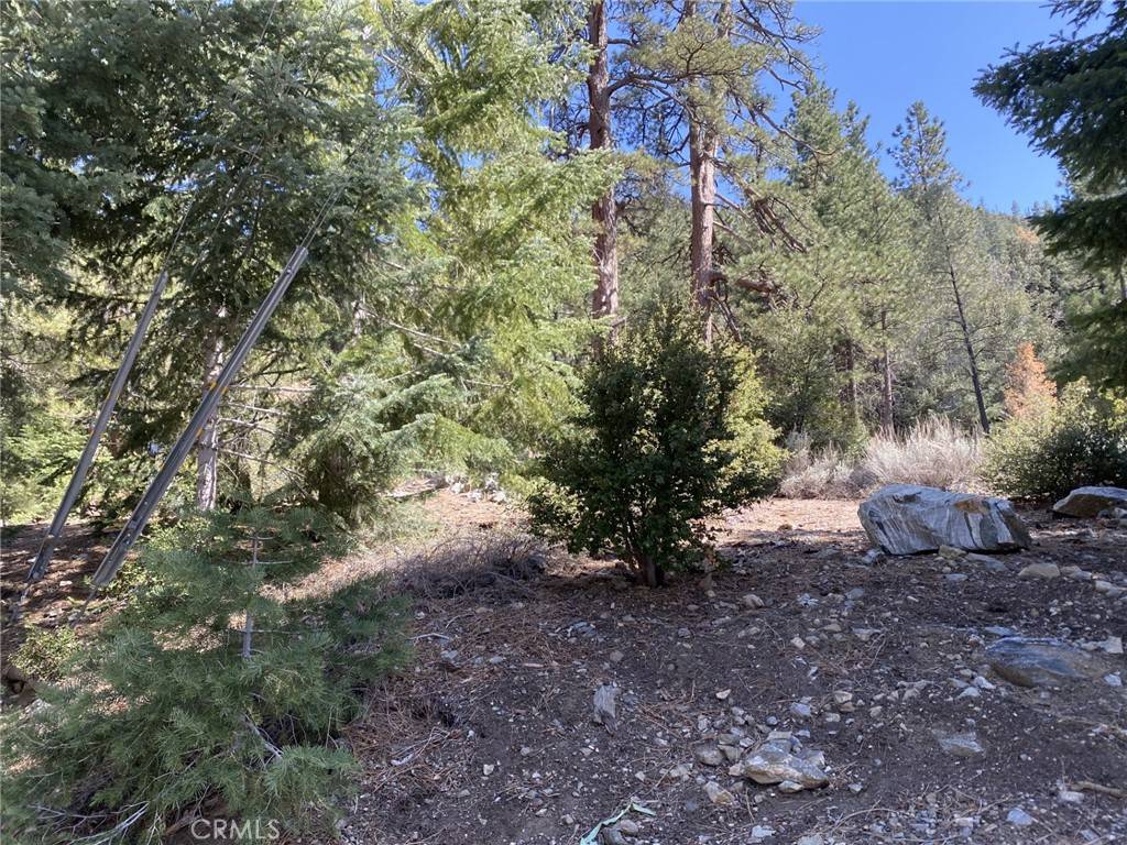 Pine Mountain Club, CA 93222,15028 Chestnut CT