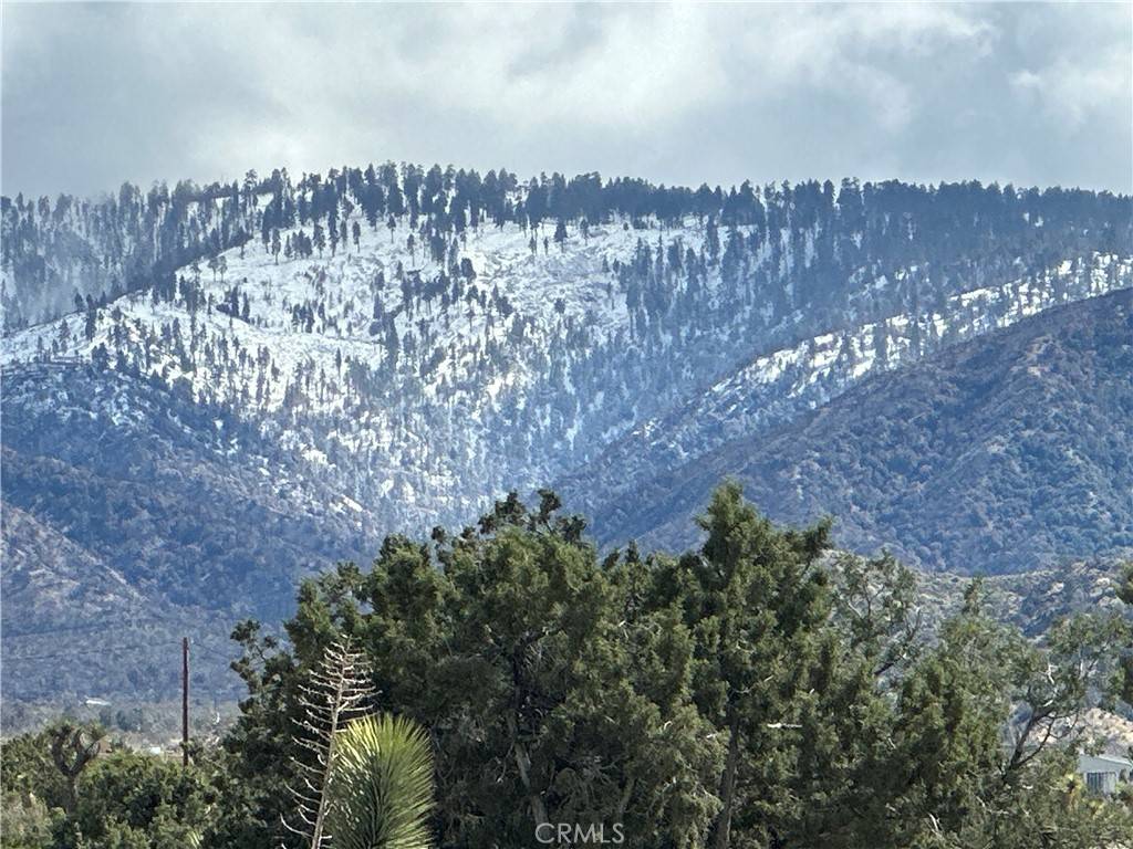 Llano, CA 93544,0 263rd ST E