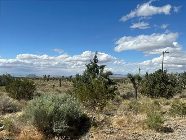 Llano, CA 93544,0 263rd ST E