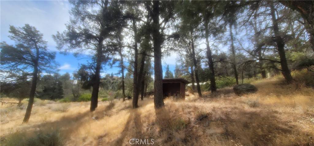 Frazier Park, CA 93225,32897 Seymour Canyon RD