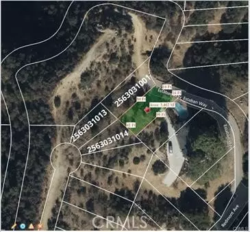Tujunga, CA 91042,9856 Estaban WAY