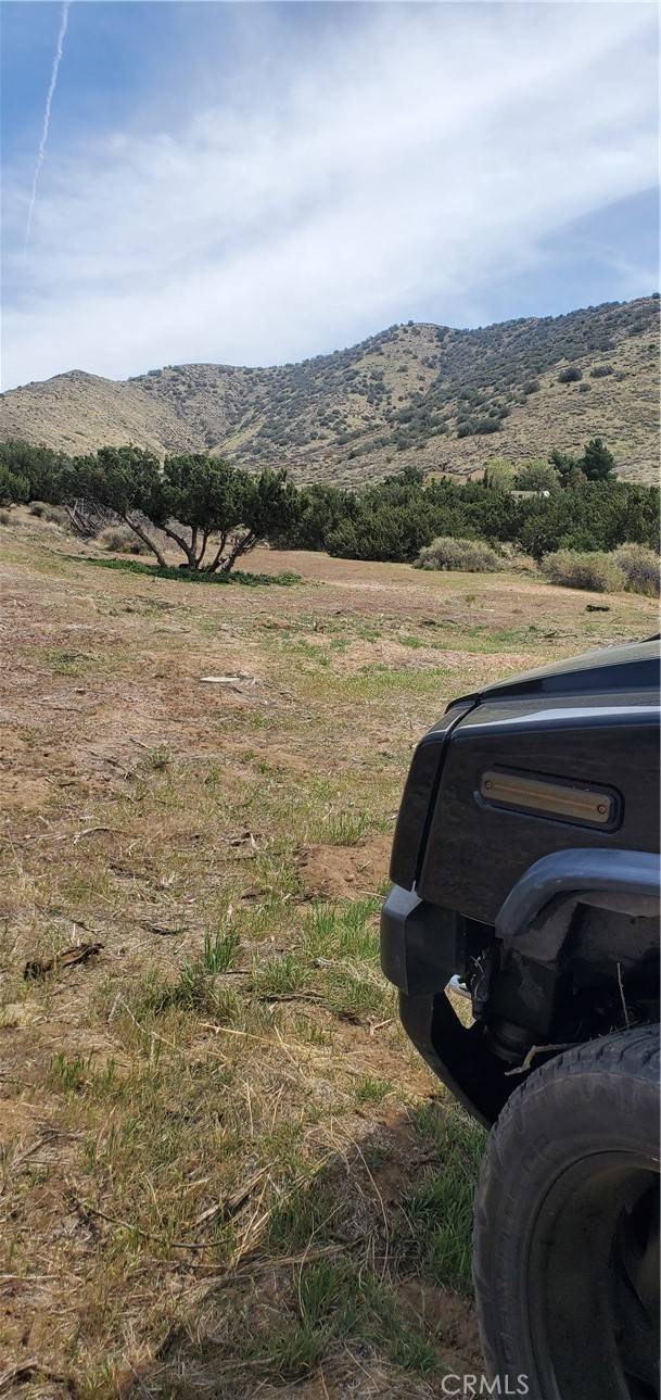 0 Soledad Pass/Hillside DR, Acton, CA 93550