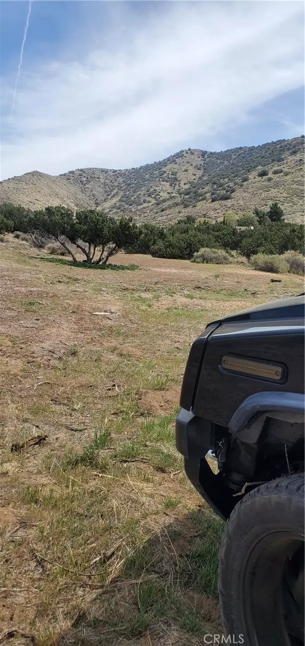 Acton, CA 93550,0 Soledad Pass/Hillside DR