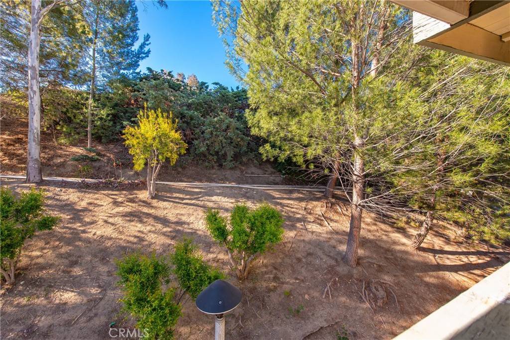 Newhall, CA 91321,19828 Spanish Oak DR