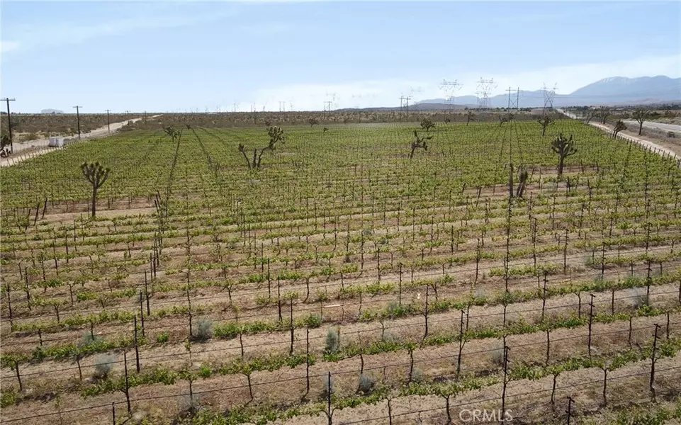 87 Fort Tejon RD, Palmdale, CA 93552