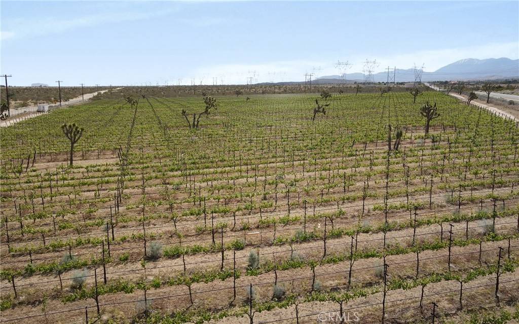 87 Fort Tejon RD, Palmdale, CA 93552