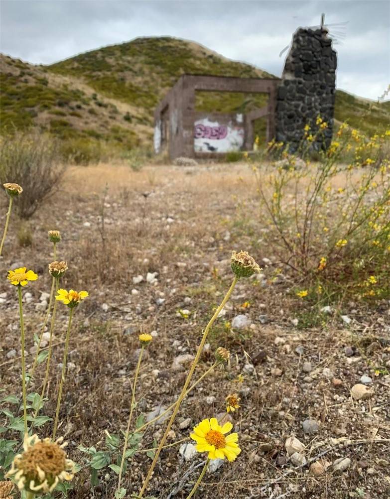 Agua Dulce, CA 91390,0 Lot 82 In Sw 1/4 Of Lot/Sec 5 Blk/Div/Twn 4N Reg/R