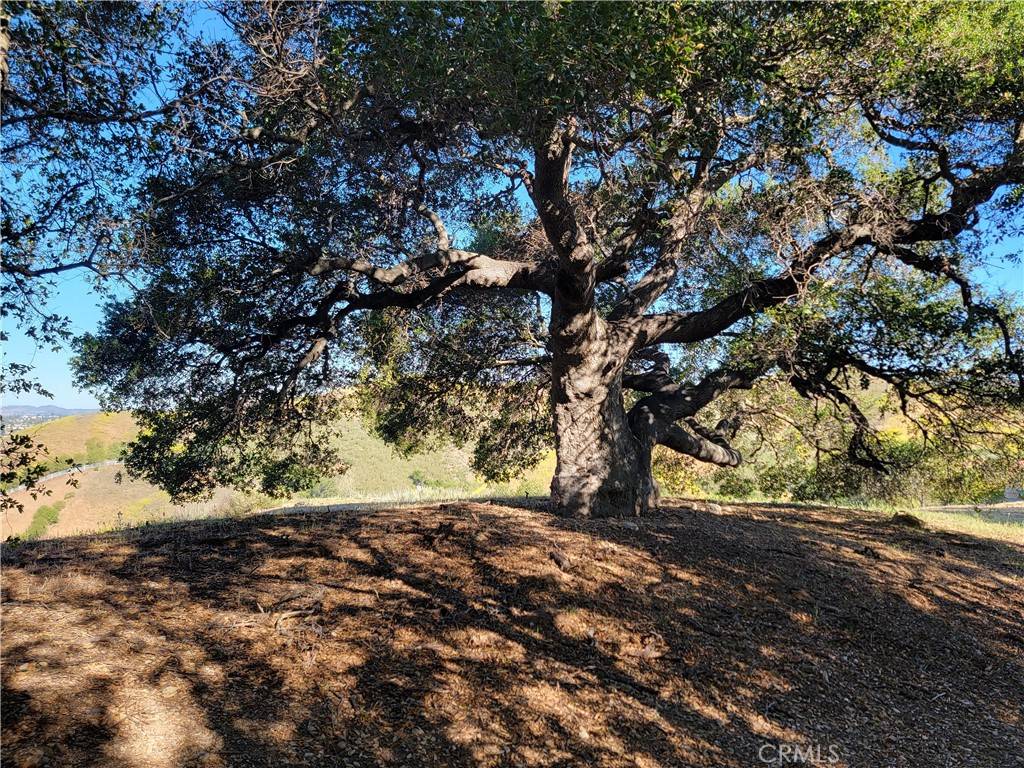 Agoura Hills, CA 91301,28343 Foothill DR