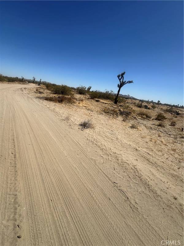 Sun Village, CA 93543,10 east ave S