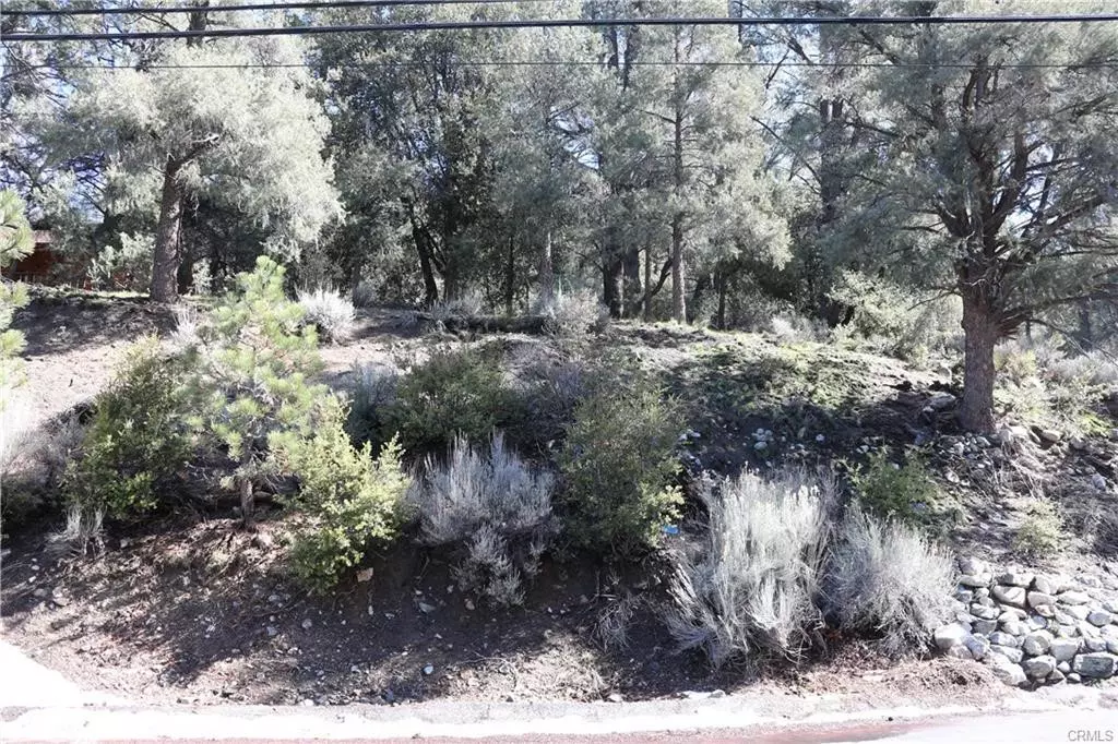 Pine Mountain Club, CA 93225,2216 Woodland DR