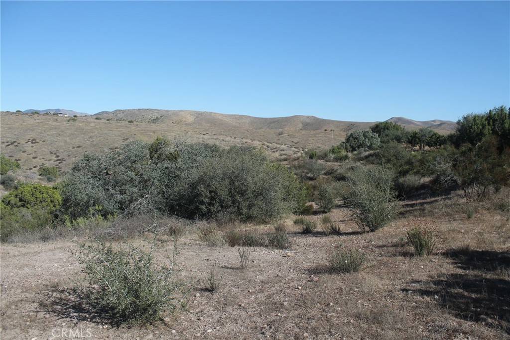 Agua Dulce, CA 91390,0 Vac/Windrush Rd/Vic Tatina LN
