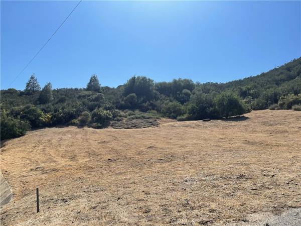 Lake Hughes, CA 93532,0 Noblett Drive  VIC Elderberr