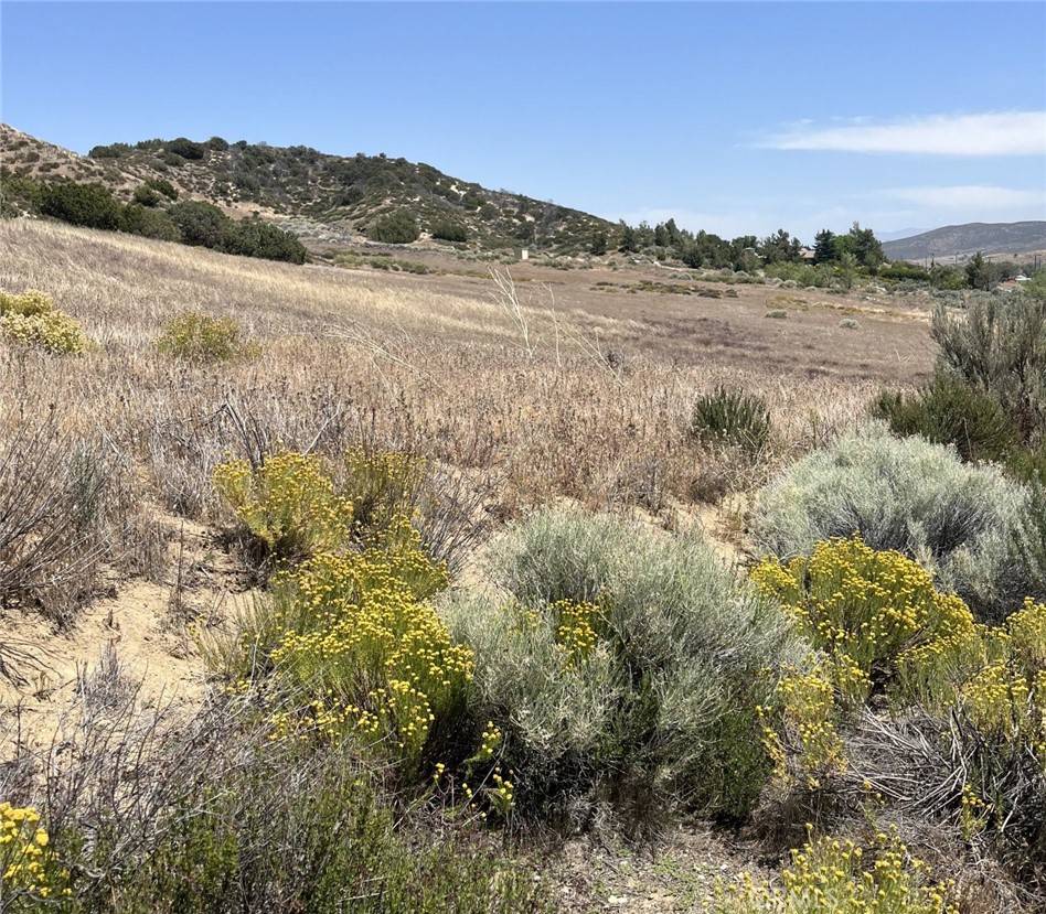 8201 Elizabeth Lake RD, Palmdale, CA 93551