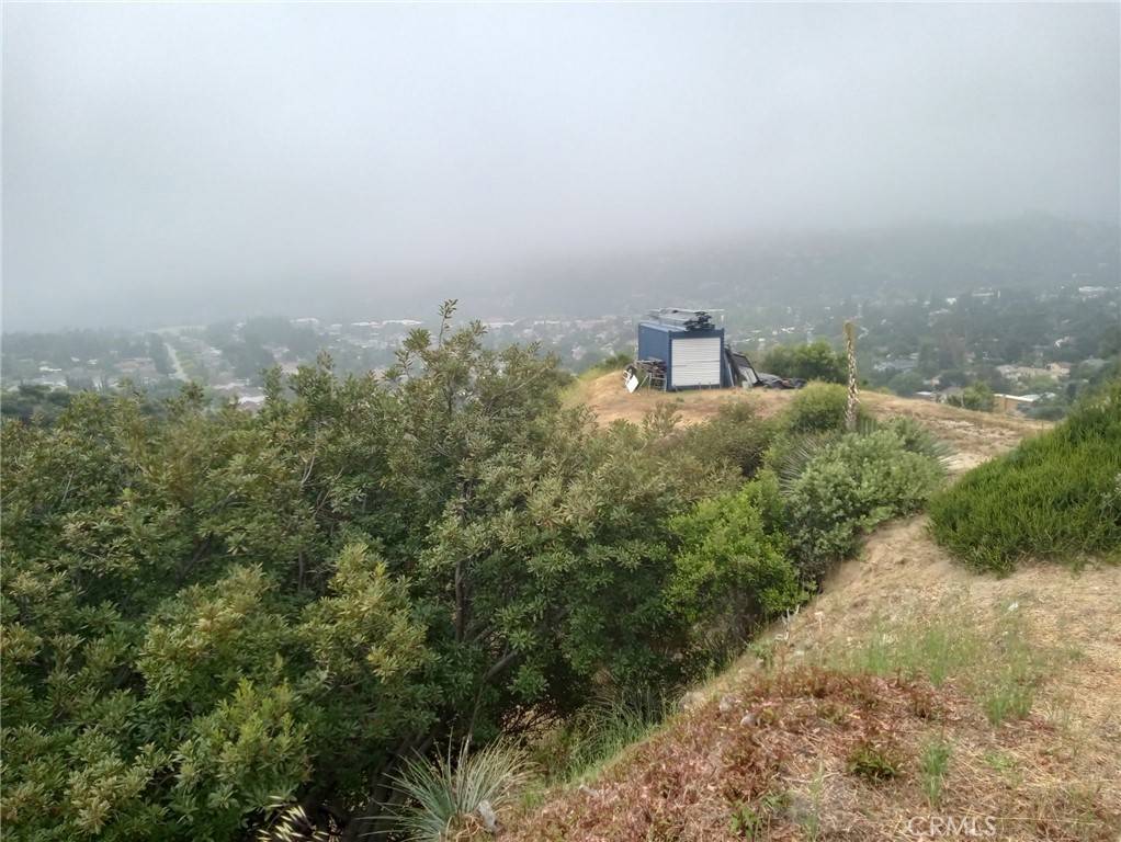 10157 Durkee AVE, Tujunga, CA 91042
