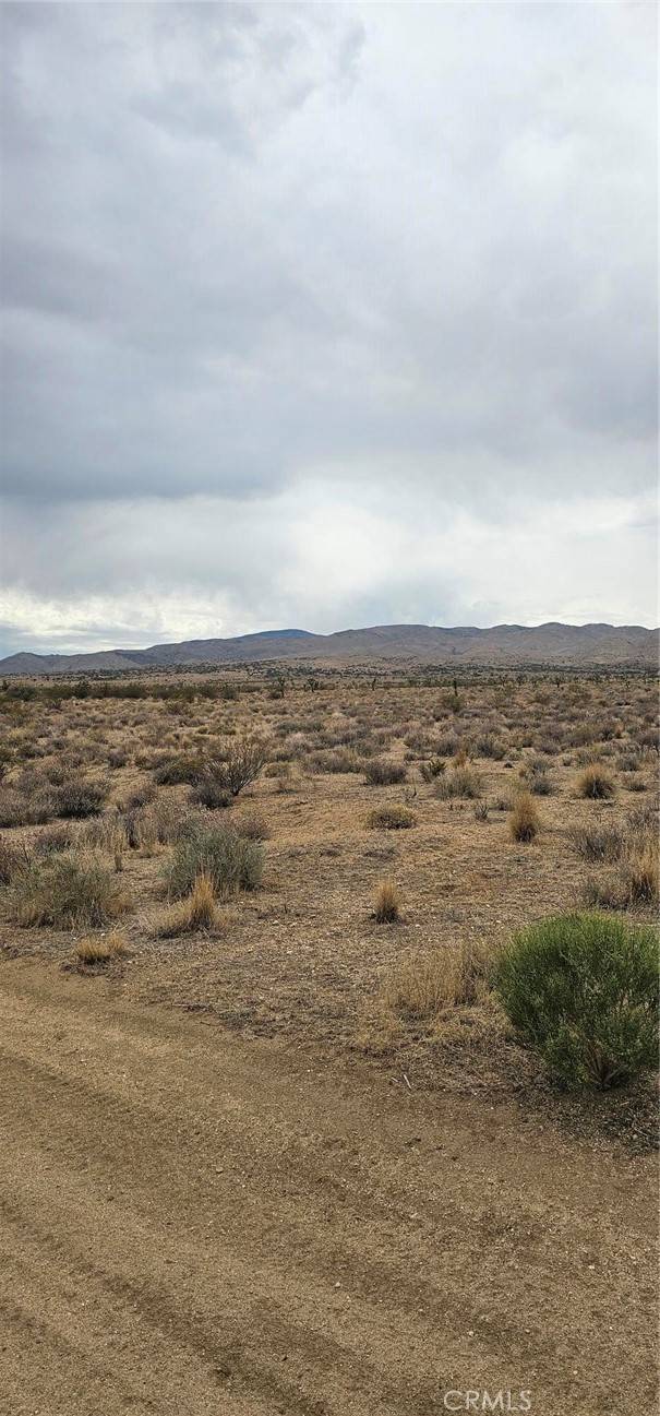Rosamond, CA 93505,0 116th ST W