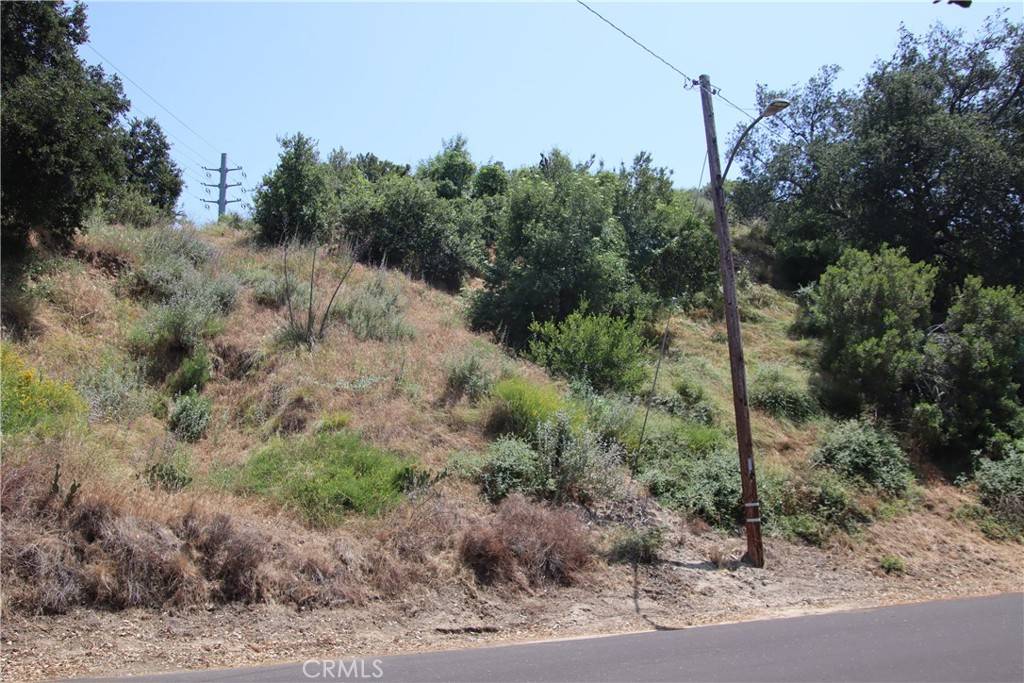 Newhall, CA 91321,24934 Old Wiley Canyon