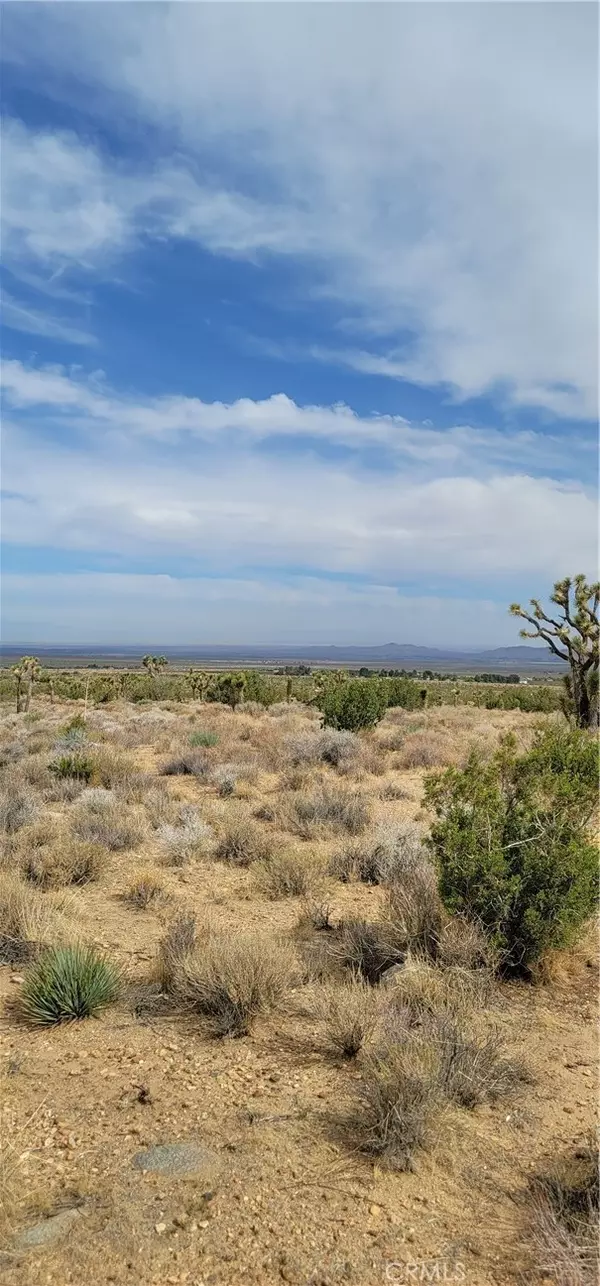 Llano, CA 93544,0 Avenue Y