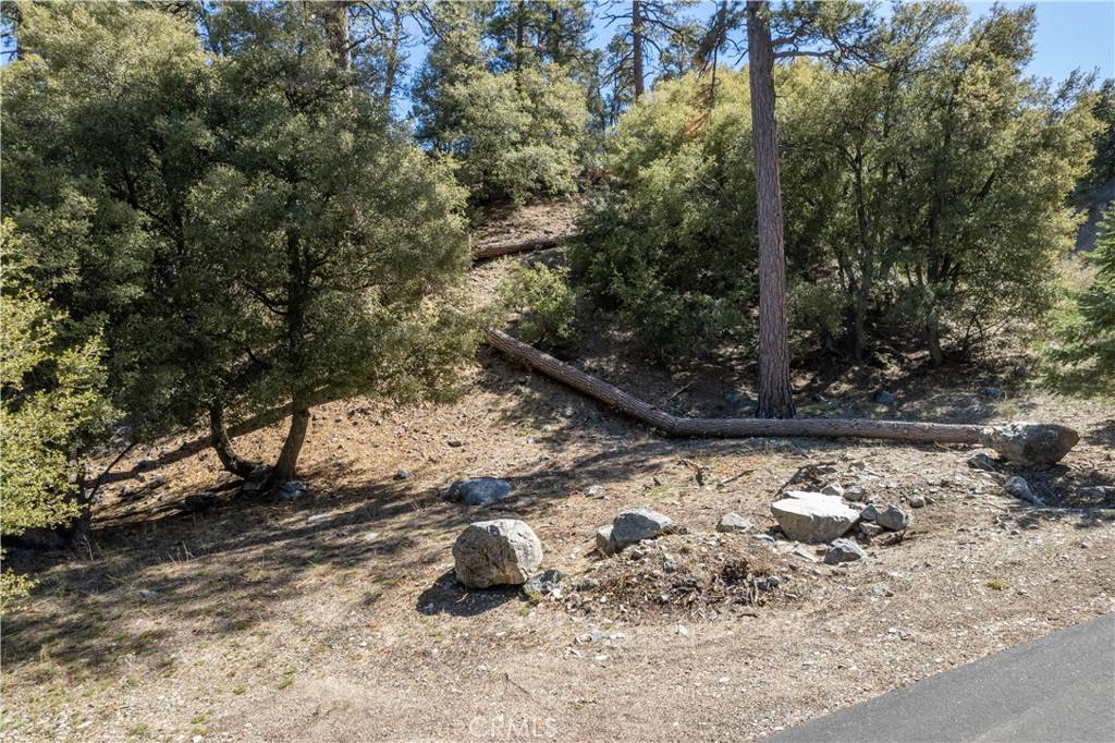 1300 Banff DR, Pine Mountain Club, CA 93222