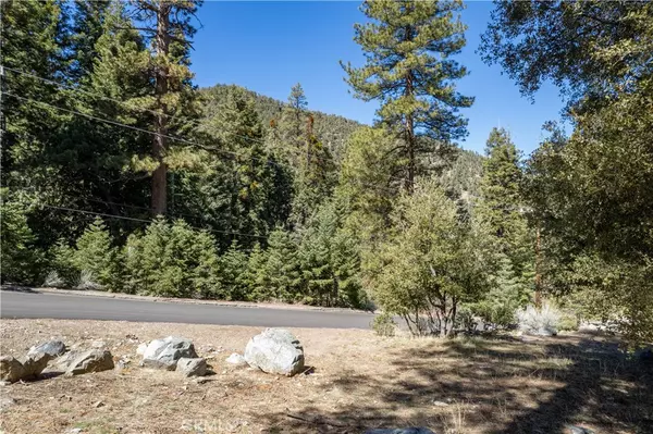 Pine Mountain Club, CA 93222,1300 Banff DR
